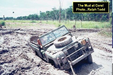 The mud at Coral